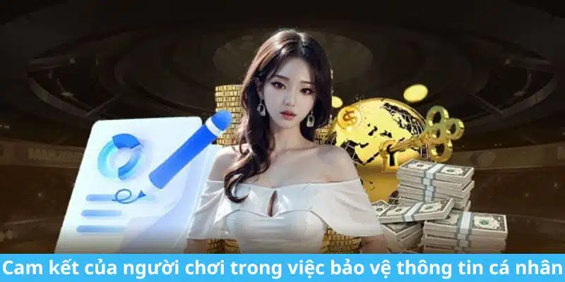 Nhiệm vụ thành viên quy định rõ tại quyền riêng tư ABC8